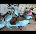 Vespa Piaggio Primavera 2022 Picnic Edition 341 Total Miles 50cc