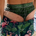 Men s Funny Animal Print Swim Trunks Novelty Beach Board Shorts S-5xl