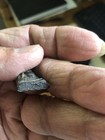 Thai Amulet Buddha
