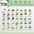 35 Heirloom Seeds Variety Pack - 21000  Non-gmo Seeds For Planting Vegetables An