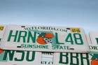 Florida License Plate - Double Oranges Graphic Good License Plate Tags Random  