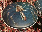 Danny Carey Tool 22   x2 Fear Inoculum  1    2 Evans Bass Drum Head Set Nice