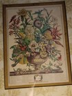 Vintage Art Print Mounted Under Glass  flowers Of September    - Frame 19x16