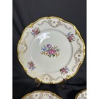 Reichenbach Gdr Dinner  Salad  Bread   Butter  Saucer Plates-rare-one Set Of  4