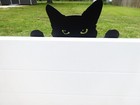 Peeking Cat Free Standing Or Yard Stake
