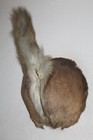 Vtg Whitetail Deer Butt Rump Mount Taxidermy Cape Shed Antler Mule