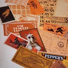 35 Pc Paper Pack Orange Ephemera Vintage Paper Ephemera Lot Tickets Labels M56