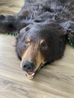 Taxidermy Black Bear Rug With Head 64 Inch Real Fur Claws Damaged