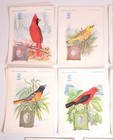 Lot Of 42 Singer Sewing Machine American Song Bird Advertising Trade Cards  2
