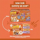 Purina Friskies Turchicken Gravy  Soft Variety Pack wet Cat Food 5 5oz  80 Pack