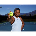 Penn Mesh Bag Tennis Balls - 12pk