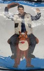 Ride A Horse Carry Me Horseadult Halloween Costume Cosplay New In Package