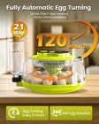18 Egg Incubator Automatic Turner Temperature Humidity Control Full Viewing Tool