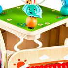 Wooden Block Sorting Activity Cube  Baby And Toddler Toys  Age Group Is 12m 