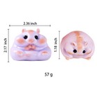 Cute Hamster Taba Squishy For Adults     Stress Relief  Soft Silicone Squeeze F   