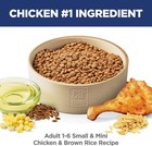 Hill s Science Diet Adult 1-6 Small   Mini Dry Dog Food   Free Shiping