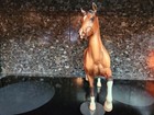 Breyer 2008 Sr Color Crazy Herd Sire Treasure Hunt Huckleberry Bey Red Bay Rare