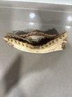 Handmade Wooden And Tree Bark Native Canoe 