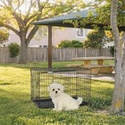 Small Dog Crate 24 Inch Folding Metal Wire Pet Cage With Divider Panel  Black