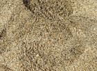 Cabrillo Beach San Pedro Los Angeles California Sand Soil Dirt Sample Apx  30ml
