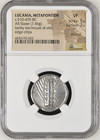 Lucania Metapontum Ar Silver Stater Ngc Vf 510-470 Bc Barley Ear Incuse