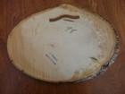 Vintage Tahquamenon Falls Mi Souvenir Plaque   9 5  X 7 0 Inches