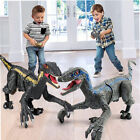 Gift remote Control Dinosaur Toys Jurassic Rechargeable 2 4ghz Rc Walking Robot