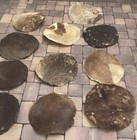 Cueros Naturales De Vaca Para Congas De Todos Los Tama  os
