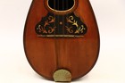 Antique Early 20th Century C f  Martin Bowlback Mandolin Original Unrestored