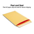 Myofficeinnovations Easyclose Catalog Envelope 6  X 9  Kraft 100 box  20140 