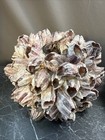 Ocean Purple Pink Large Cluster Acorn Barnacle Shells Coral  Candle Holders voti