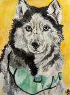 Custom Watercolor Pet Portrait 8 By 8 Inch