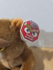 Feisty Pets Brown Grizzly Bear Plush 2015    sir Growls A Lot    Cute Angry 8    Tags
