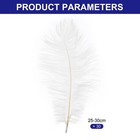 30 Pcs 10-12 Inch  25-30 Cm Natural Ostrich Feathers Bulk   white 
