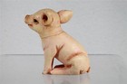 Harmony Kingdom Ball Pot Bellys belly - Pudge Pig - Xpbzpi - Retired Nib