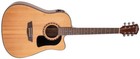 Washburn Apprentice D5ce-pack Acoustic Guitar  Ad5cepack-a-u