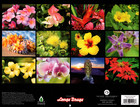 2026 Calendar Hawaii Hawaiian Flowers