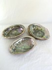 Polished Iridescent Abalone Shell Set - Decorative Or Smudge Bowls