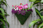  27013 Preserved Spanish Moss     Decorative Moss For Crafts  Potted Plants  Fairy
