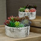 Mini Artificial Succulent Plant Fake Plastic Flower Container Garden Home Decor