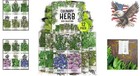 Culinary Herb Seeds Variety Pack - 12 Non-gmo   Heirloom Seeds For Home Garden