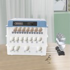 192 Egg Automatic Eggs Incubator Poultry Hatcher Digital Egg Incubating Machine