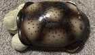Cloud B Twilight Turtle Constellations Plush Night Light Projector Rare htf