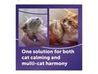 Feliway Optimum Happy Family Enhanced Calming Cat Diffuser   Refill 48ml 30 Days