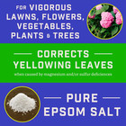 7 Lb  2 900 Sq  Ft  Epsom Salt For Plants  Lawns And Gardens