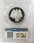 2008 W Platinum American Eagle  100 Proof 1oz Pcgs Pr 70 Dcam