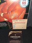 Hulk Hogan Signed Wwf  champion  8x10 Magazine Page Photo    pic Wwe Coa Rare