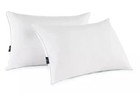Serta Perfect Sleeper Comfy Sleep Eco-friendly Bed Pillow  2 Pack  Queen 