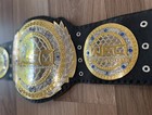 Wec World Extreme Cage Heavyweight Fighting Championship Title Belt Replica