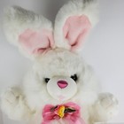 Hoppy Hopster Easter Bunny Plush White Pink Medium Flowers Butterfly 20 